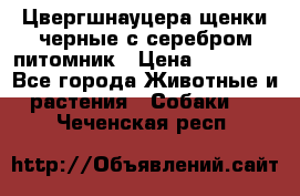 Цвергшнауцера щенки черные с серебром питомник › Цена ­ 30 000 - Все города Животные и растения » Собаки   . Чеченская респ.
